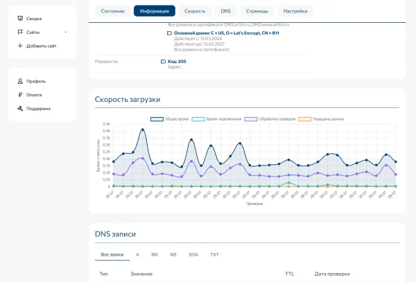 Начали разработку круглосуточного мониторинга сайта