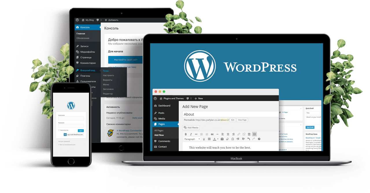 Cоздание сайта на WordPress
